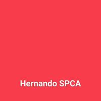 SPCA of Hernando County Inc.